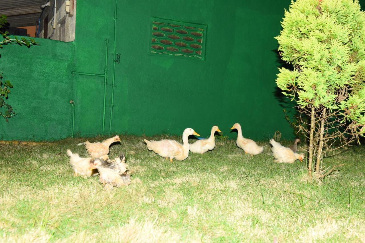 K G N Farmhouse Kundapura Exterior foto